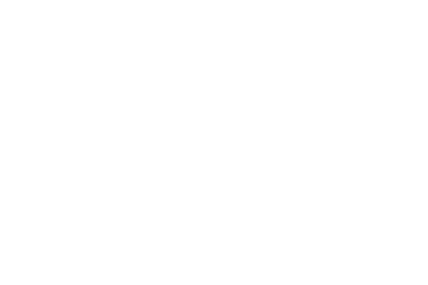 Verpoorten Motorsport Development logo white