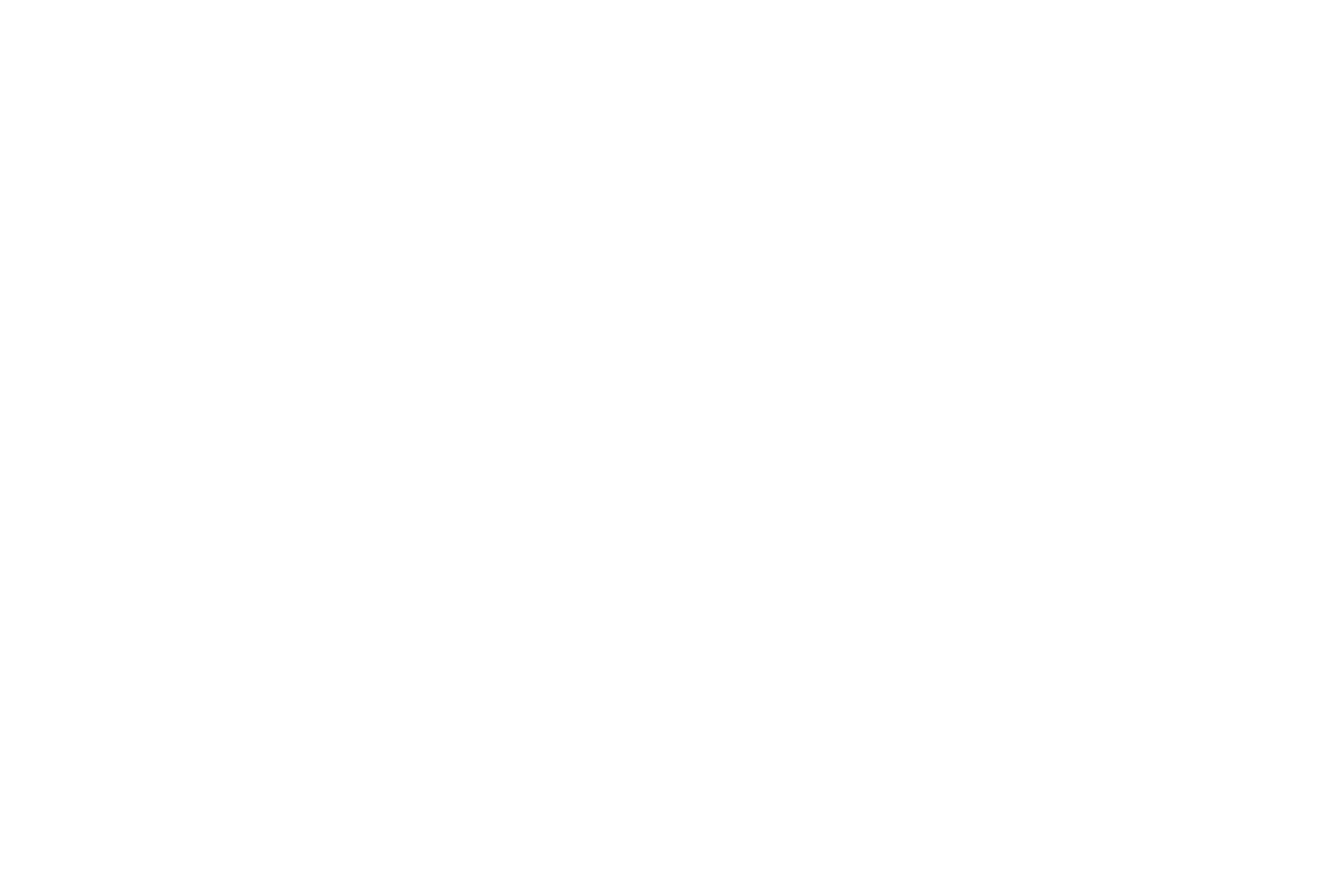 TRE team rosberg engineering logo